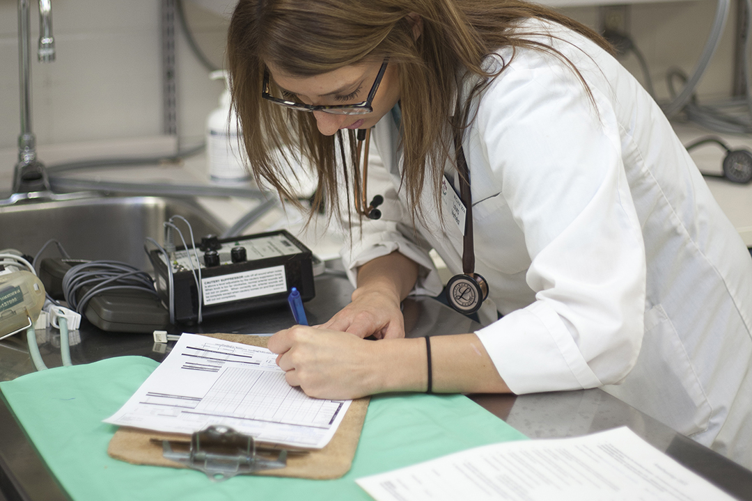 student completes medical information of patient in anesthesia